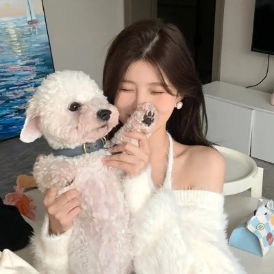 夏日的时光机器
